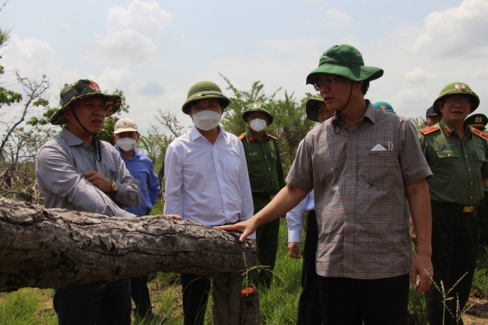 pha rung o dak lak anh 1