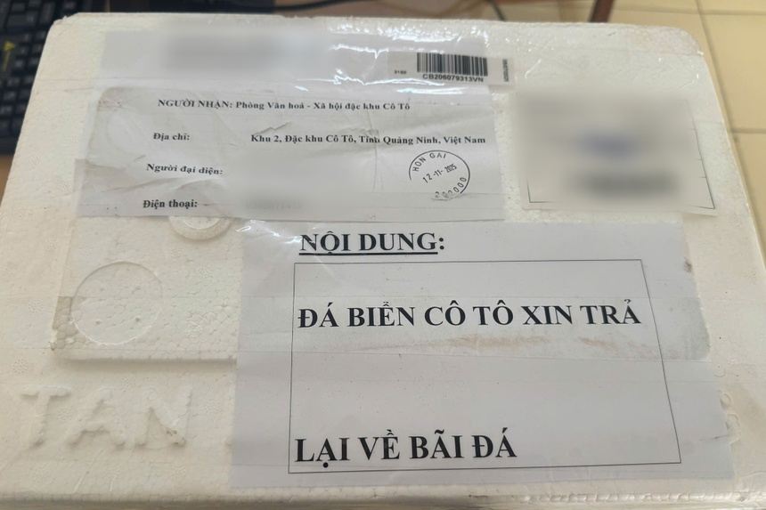 tra lai da cuoi anh 1