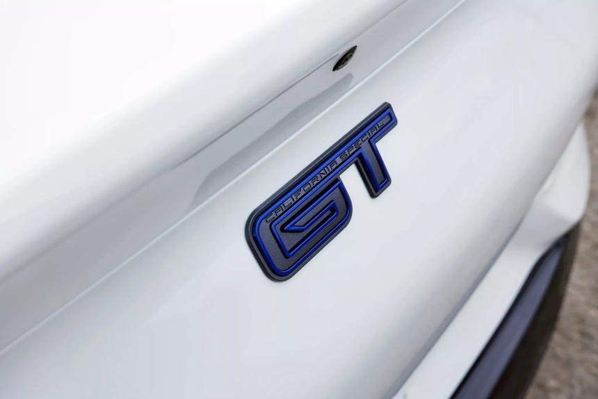 Ford Mustang Mach-E anh 13
