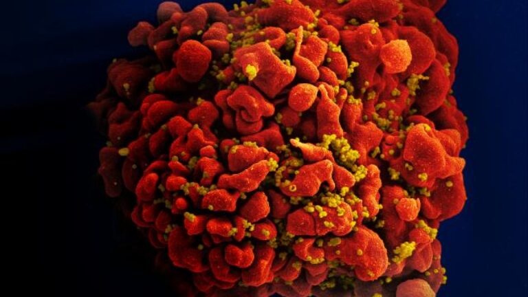 Thu nghiem vaccine HIV anh 1