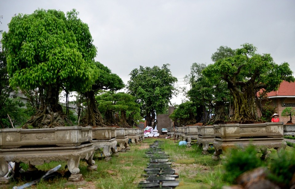 nhà thờ tổ của Hoài Linh ảnh 18