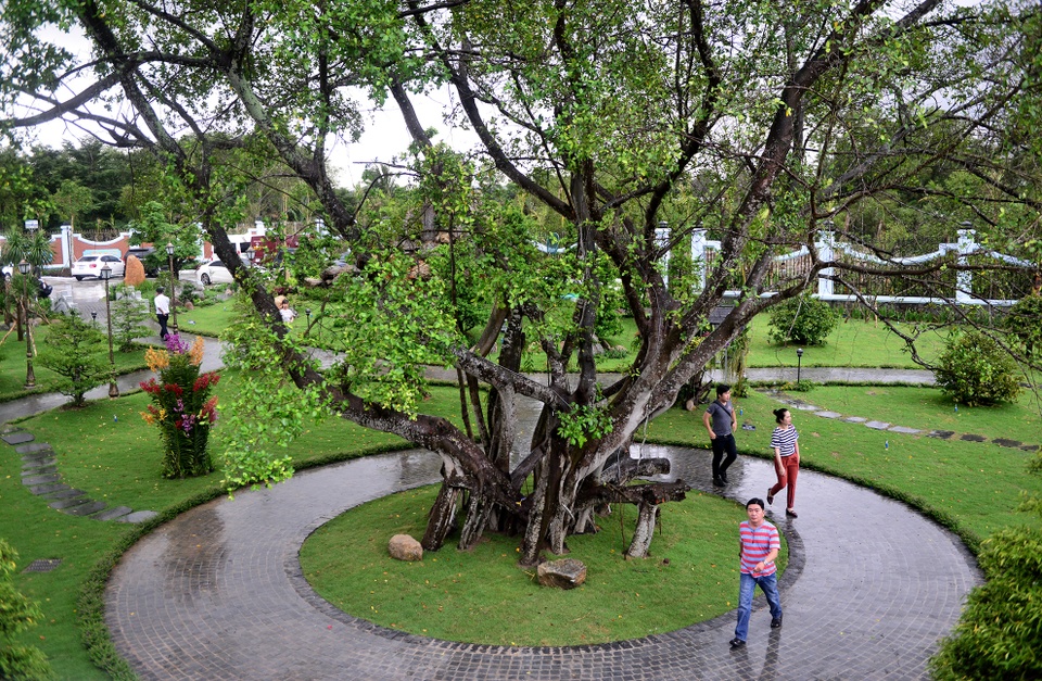 nhà thờ tổ của Hoài Linh ảnh 19