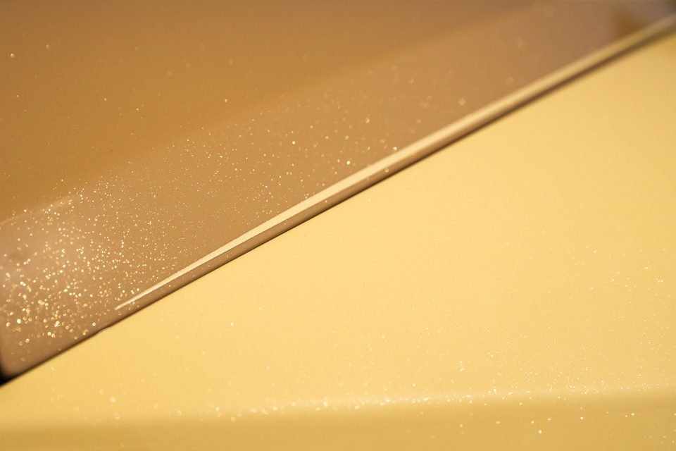 rolls-royce,  spectre,  spectre bailey,  rolls-royce spectre bailey,  cho,  cho cung,  thu cung,  Labrador,  Golden Retriever anh 3