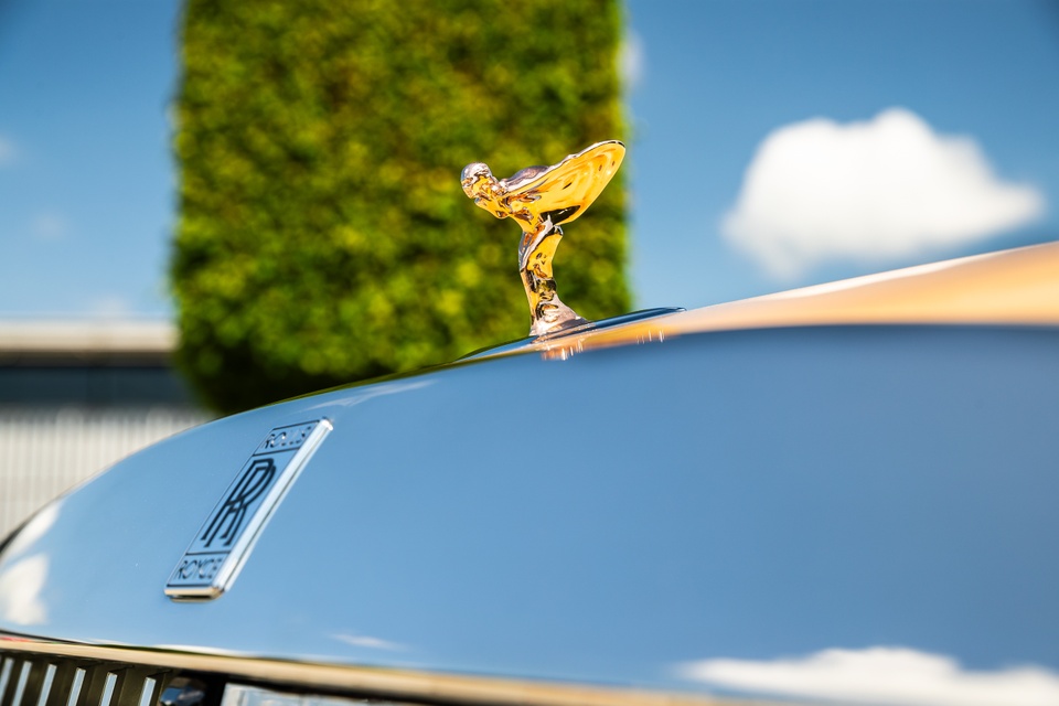 rolls-royce,  spectre,  spectre bailey,  rolls-royce spectre bailey,  cho,  cho cung,  thu cung,  Labrador,  Golden Retriever anh 11