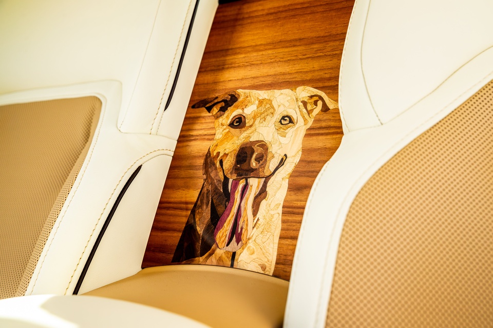 rolls-royce,  spectre,  spectre bailey,  rolls-royce spectre bailey,  cho,  cho cung,  thu cung,  Labrador,  Golden Retriever anh 9