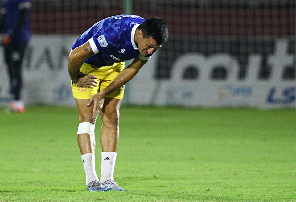 merlo anh 7
