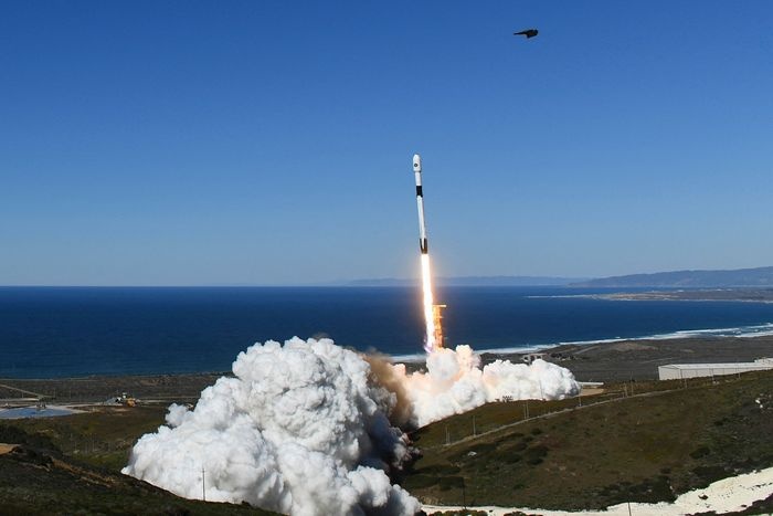 Elon Musk anh 2