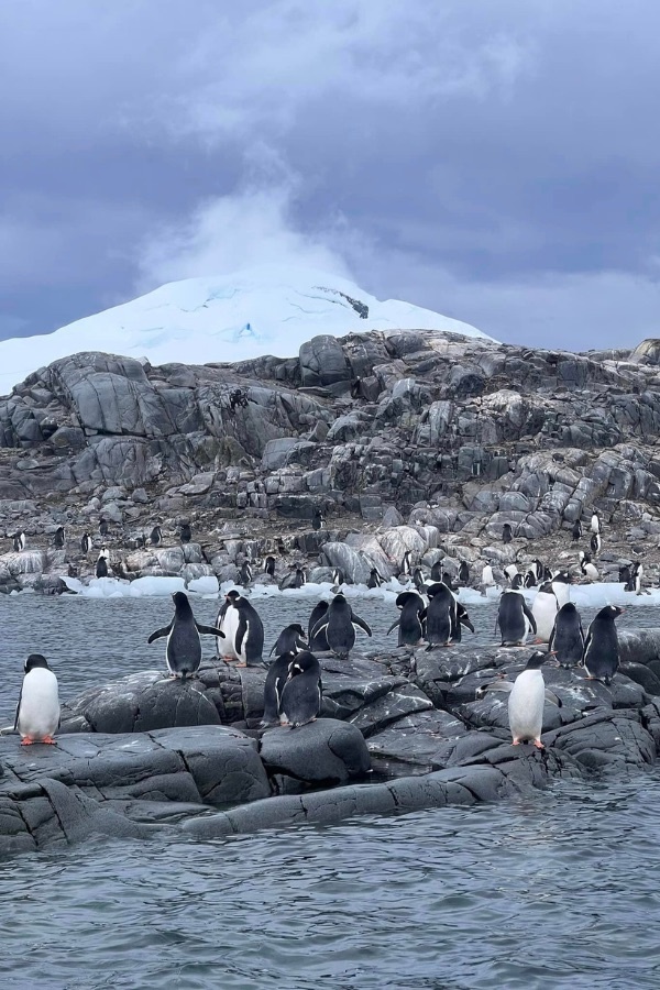 du lich nam cuc anh 7