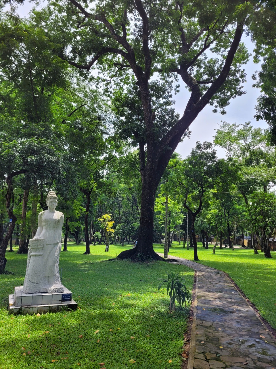 sách ảnh 5