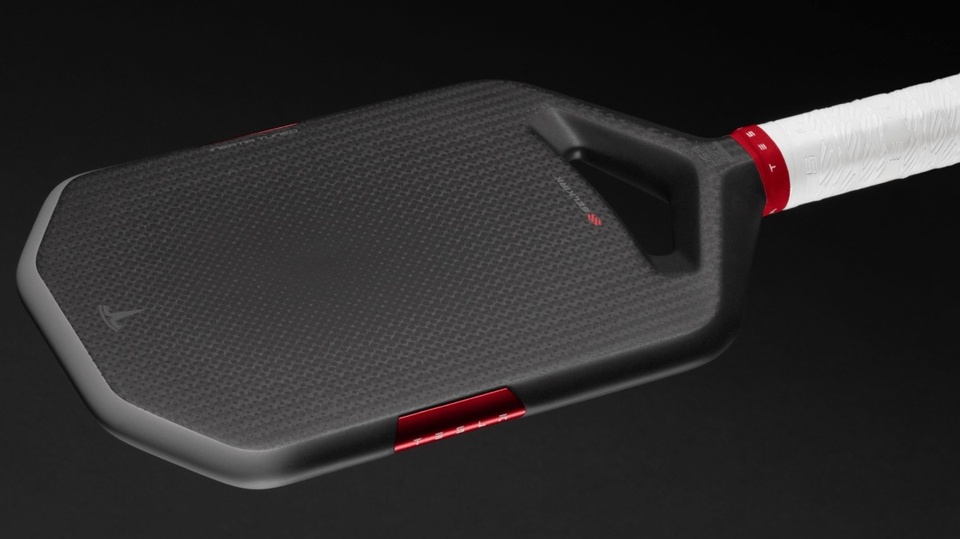 vot pickleball,  Tesla anh 1