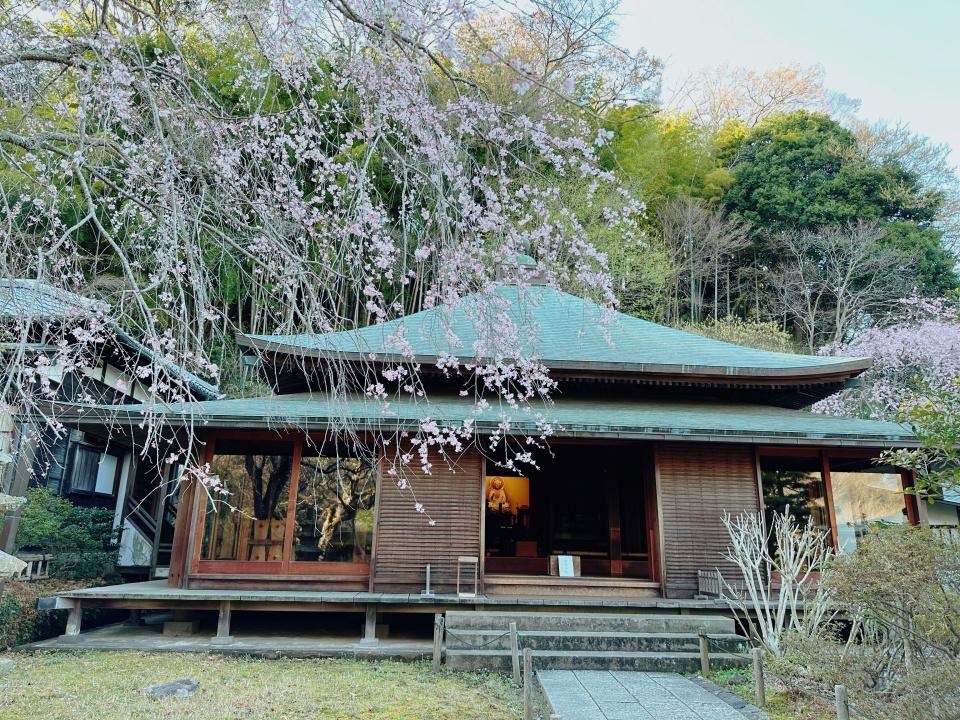 Kamakura anh 10