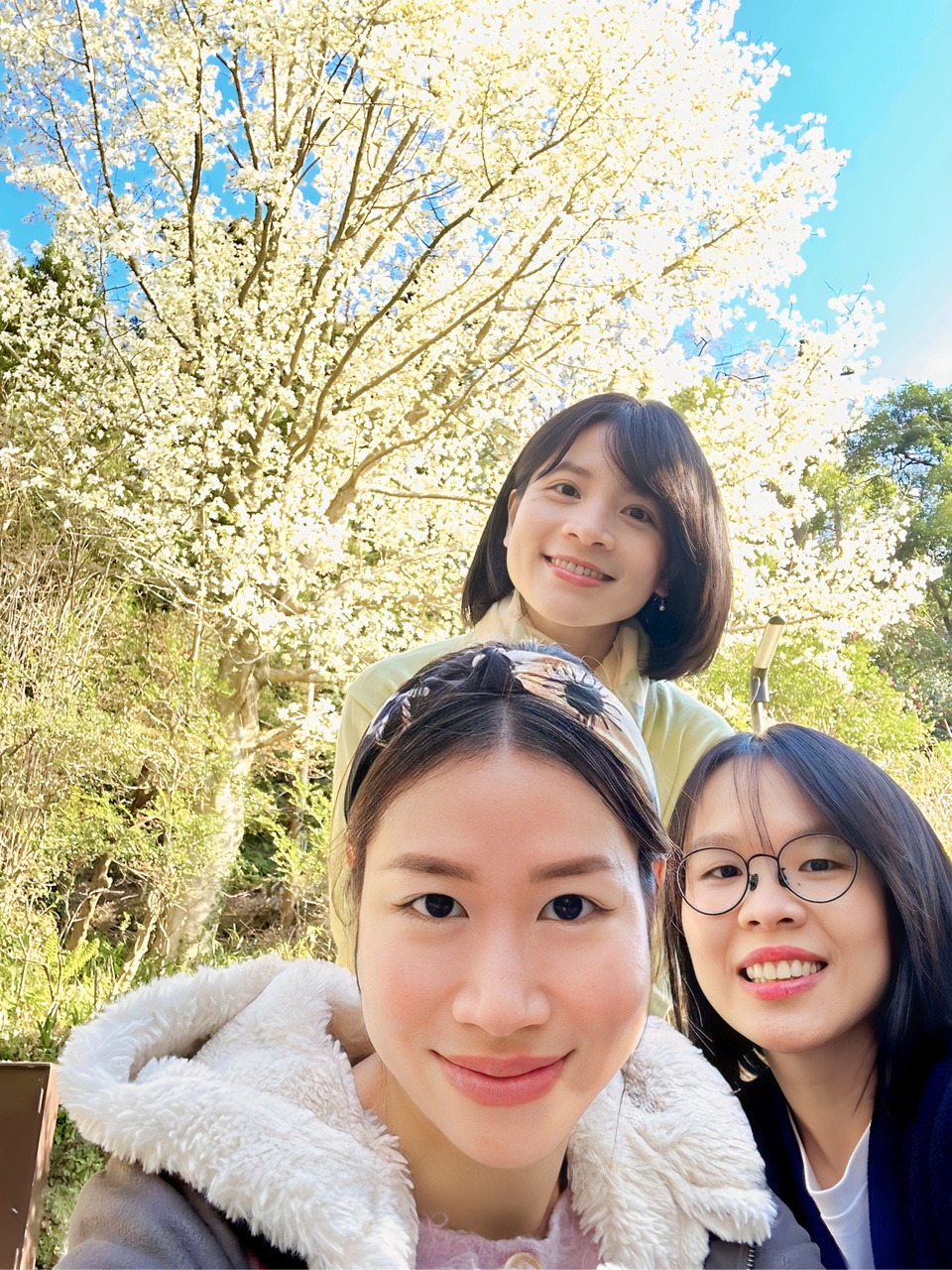 Kamakura anh 8