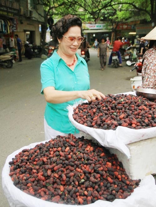 Dâu tằm xưa trái nhỏ xíu, ngày nay đã được thay thế bằng loại dâu trái tròn mẫm, to cỡ ngón tay cái. Dâu tằm chín có màu tím thẫm, ngả sang đen, xen lẫn những quả non màu đỏ hồng đẹp mắt.