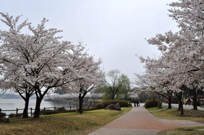 Công viên Ilsan Lake Park: Tập 17 có sự xuất hiện của ngôi sao K-pop Suzy, người khiến Cheon Song-yi cảm thấy ghen tị. Cảnh quay được thực hiện ở Ilsan Lake Park, Goyang-si, Gyeonggi-do, một thành phố vệ tinh của Seoul. Công viên này có các hồ nước nhân tạo, đường đi bộ, đài phun nước có nhạc. Nhiều chương trình biểu diễn và các lễ hội được tổ chức ở đây quanh năm. Ảnh: wikimapia.