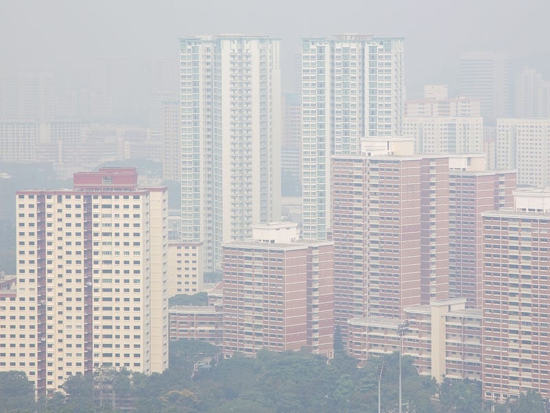 nan pha rung anh 11
