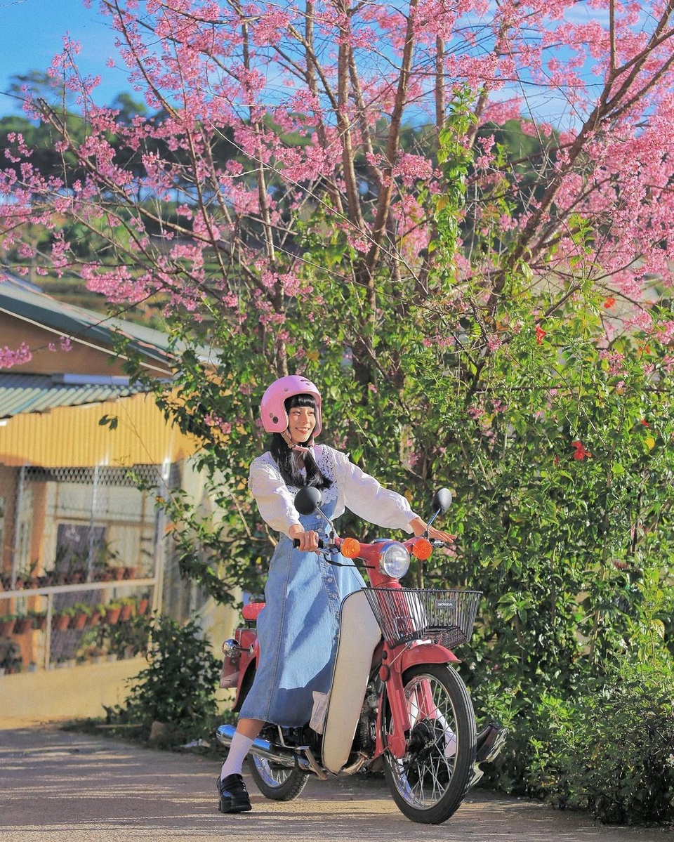 mai anh dao anh 1