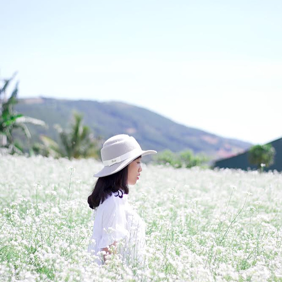 mai anh dao anh 4