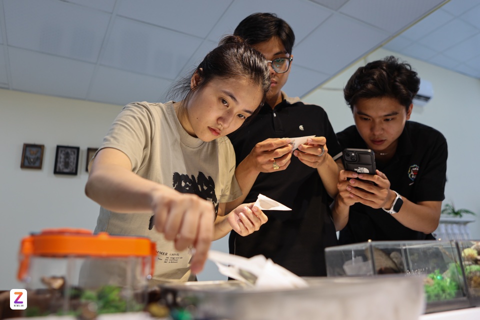 workshop tieu ban bo anh 4