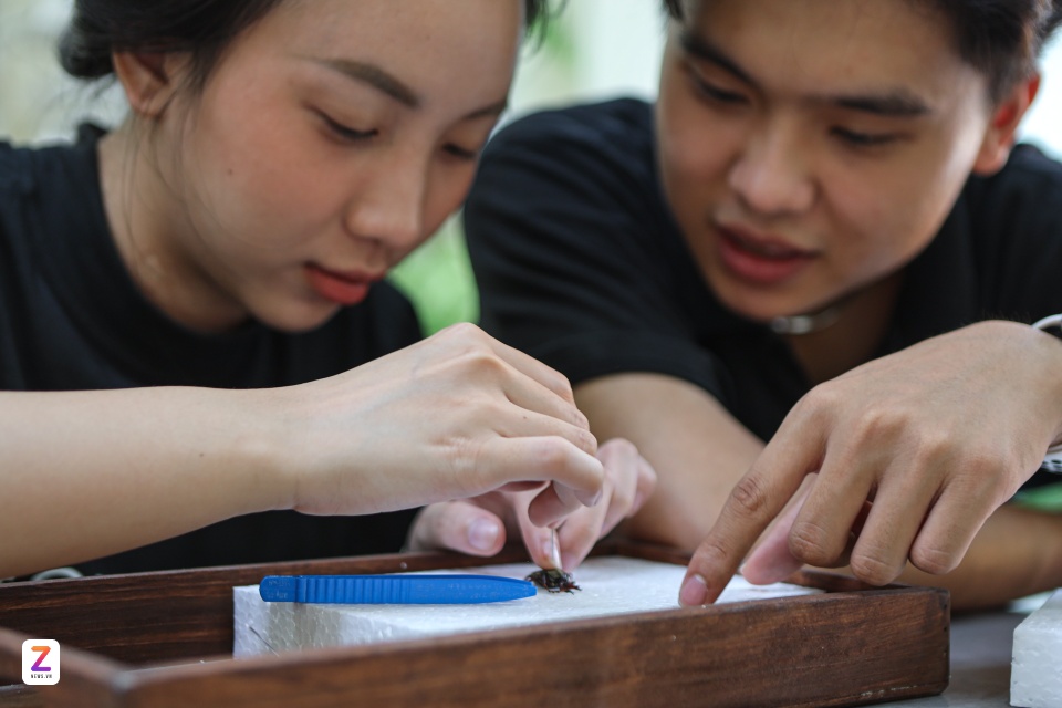 workshop tieu ban bo anh 7