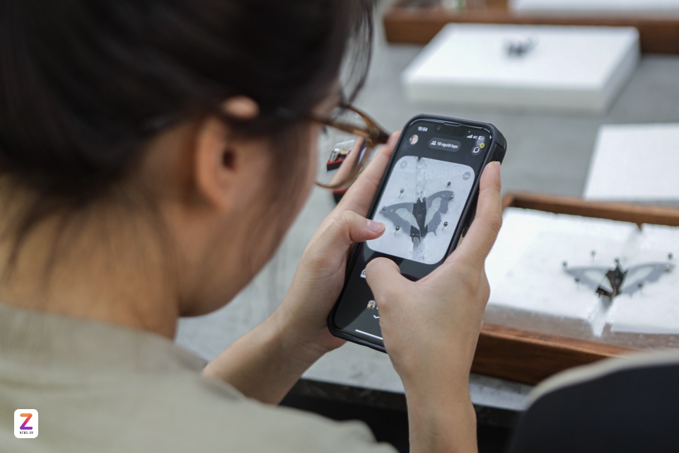workshop tieu ban bo anh 9