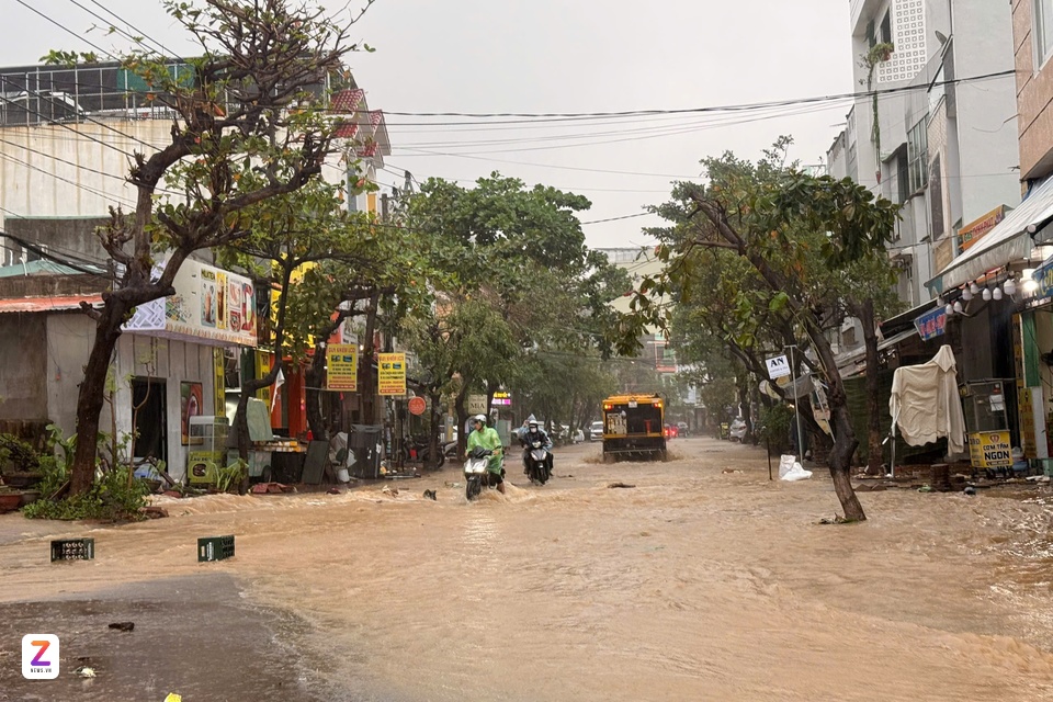 quy nhon ngap nang anh 8