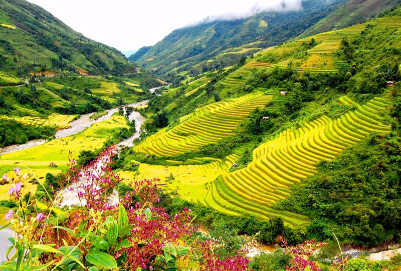 Viet Nam co bao nhieu tinh thanh anh 3