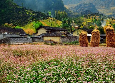 Danh thang Ha Giang anh 7