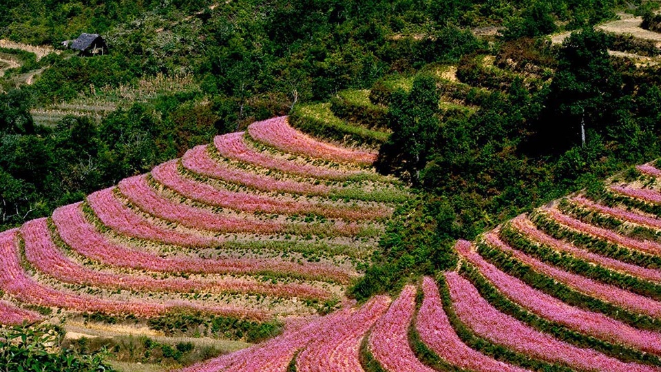 Danh thang Ha Giang anh 8