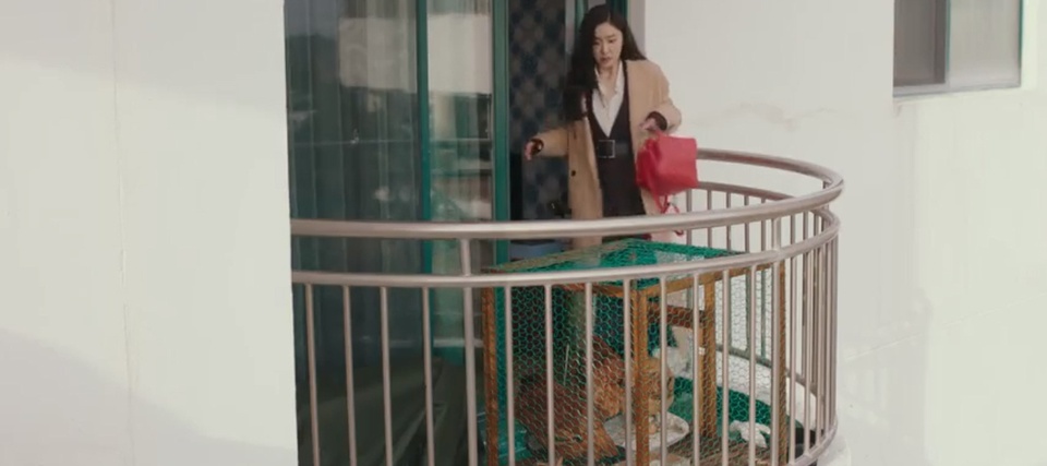 Ha canh noi anh,  Hyun Bin,  Son Ye Jin,  Trieu Tien,  Bac Han anh 9
