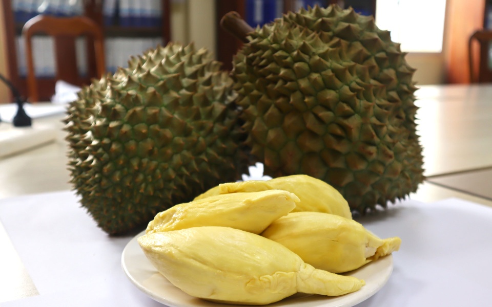 Đại gia đua nhau đi bán sầu riêng