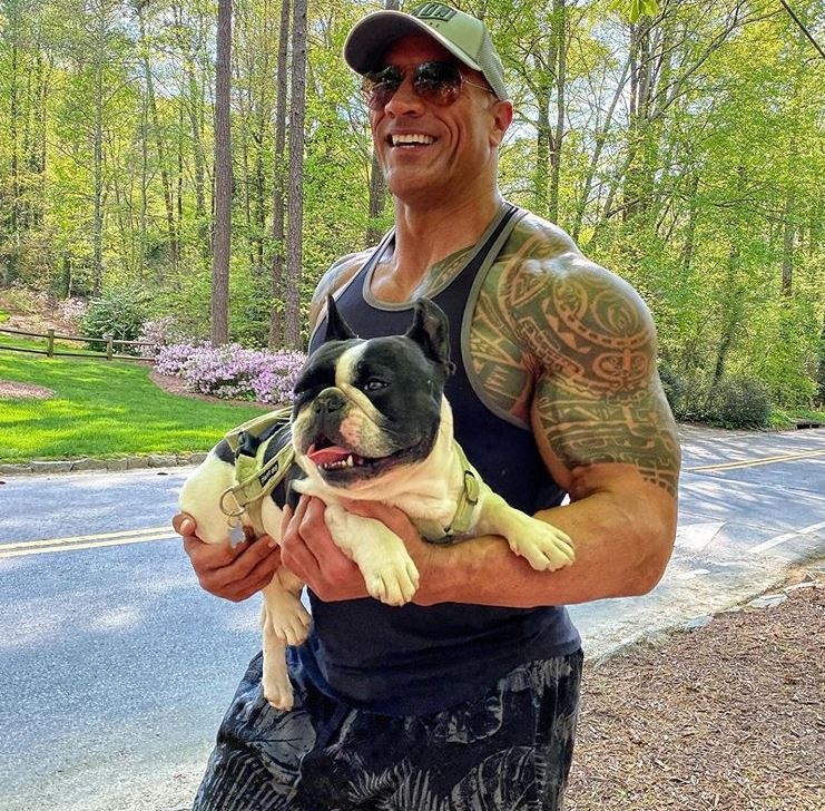 Co bap cua The Rock anh 4