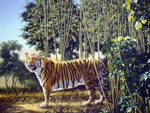 tim ho an giau trong tranh anh 1