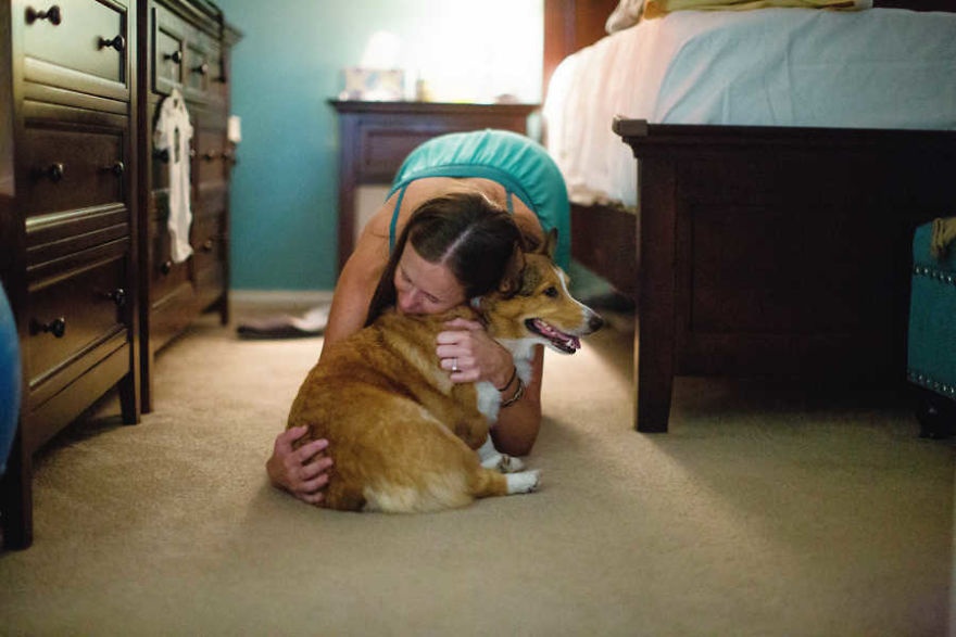 chu cho corgi luon ben canh ba bau anh 1