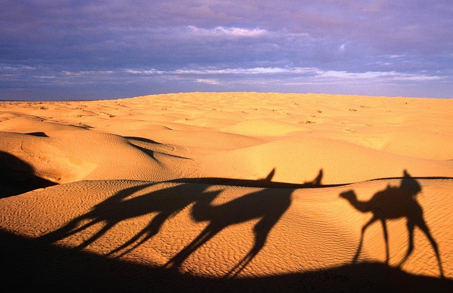Kebili, Tunisia: Kebili có địa hình đặc biệt đến mức đạo diễn George Lucas từng quay “Chiến tranh giữa các vì sao” ở đây. Năm 1910, thời tiết ở Kebili đạt độ nóng kỷ lục là 55 độ C.