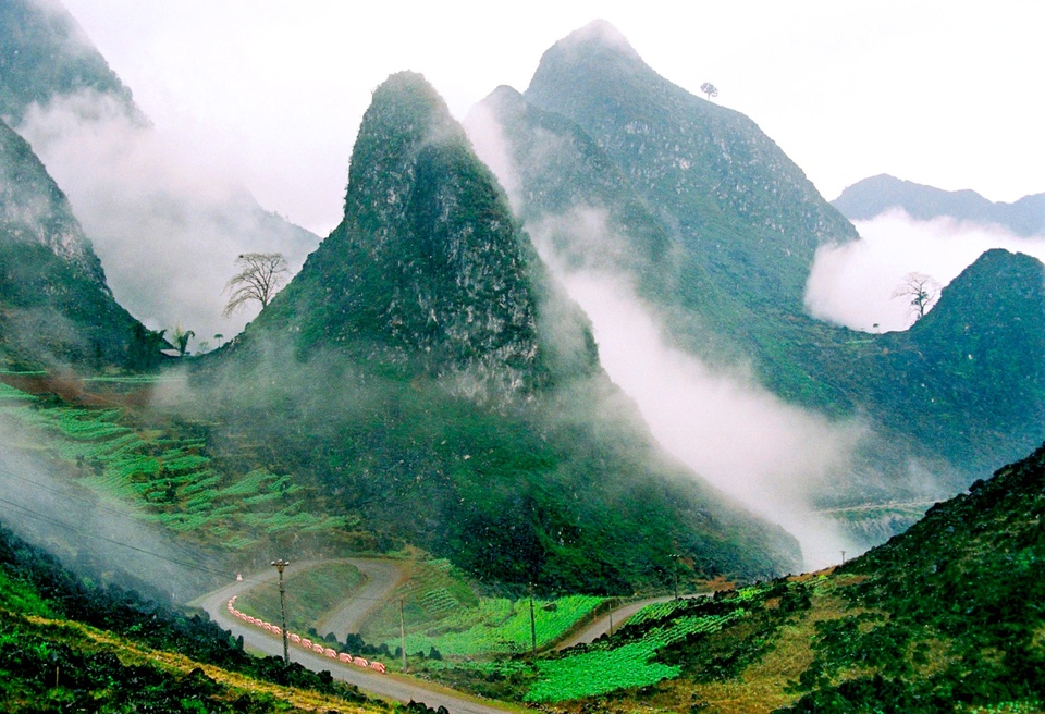 Hà Giang: Cao nguyên nổi tiếng với những con đèo mạo hiểm, cảnh sắc núi rừng nguyên sơ và văn hóa độc đáo thu hút rất nhiều khách tham quan, đặc biệt là những bạn trẻ. Thời điểm tham quan Hà Giang lý tưởng nhất là mùa thu - đông, lúc có hoa tam giác mạch, hoa đào, lúa chín. Ảnh: Hanoiexplorer.