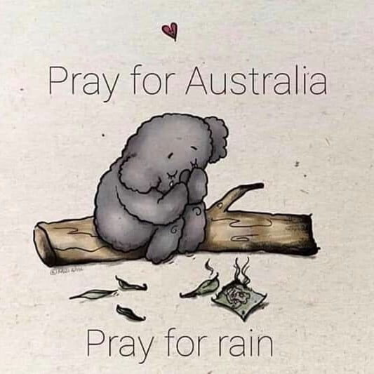 chay rung o Australia anh 3