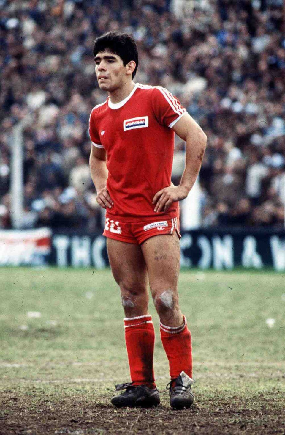 maradona anh 1