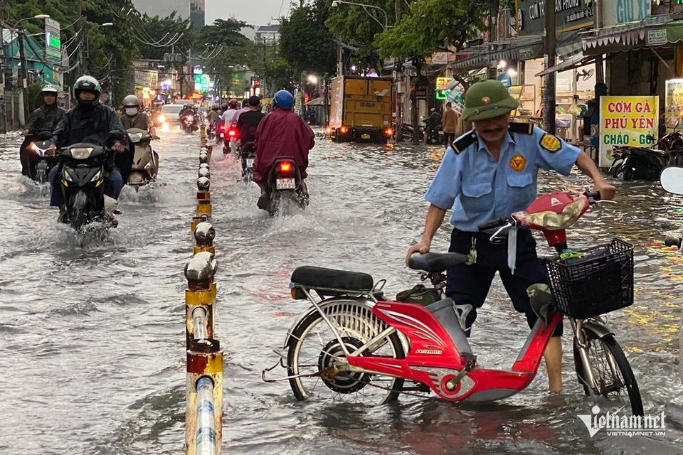 Trieu cuong TP.HCM dat dinh anh 1