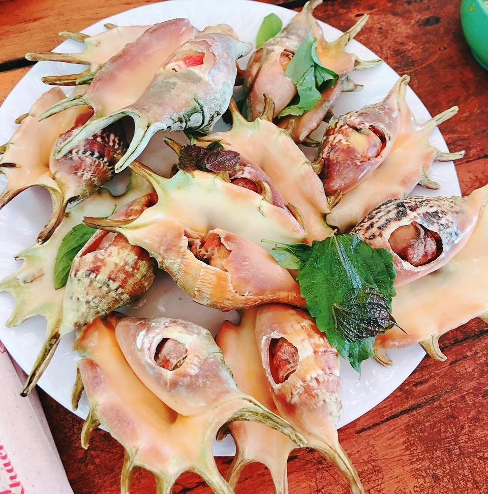cac loai oc ngon anh 5