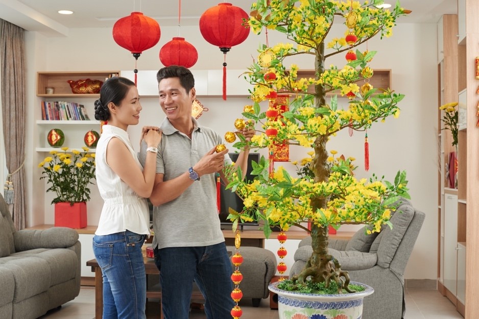 van loi chuc nhu y,  chuc tet,  truyen thong anh 5