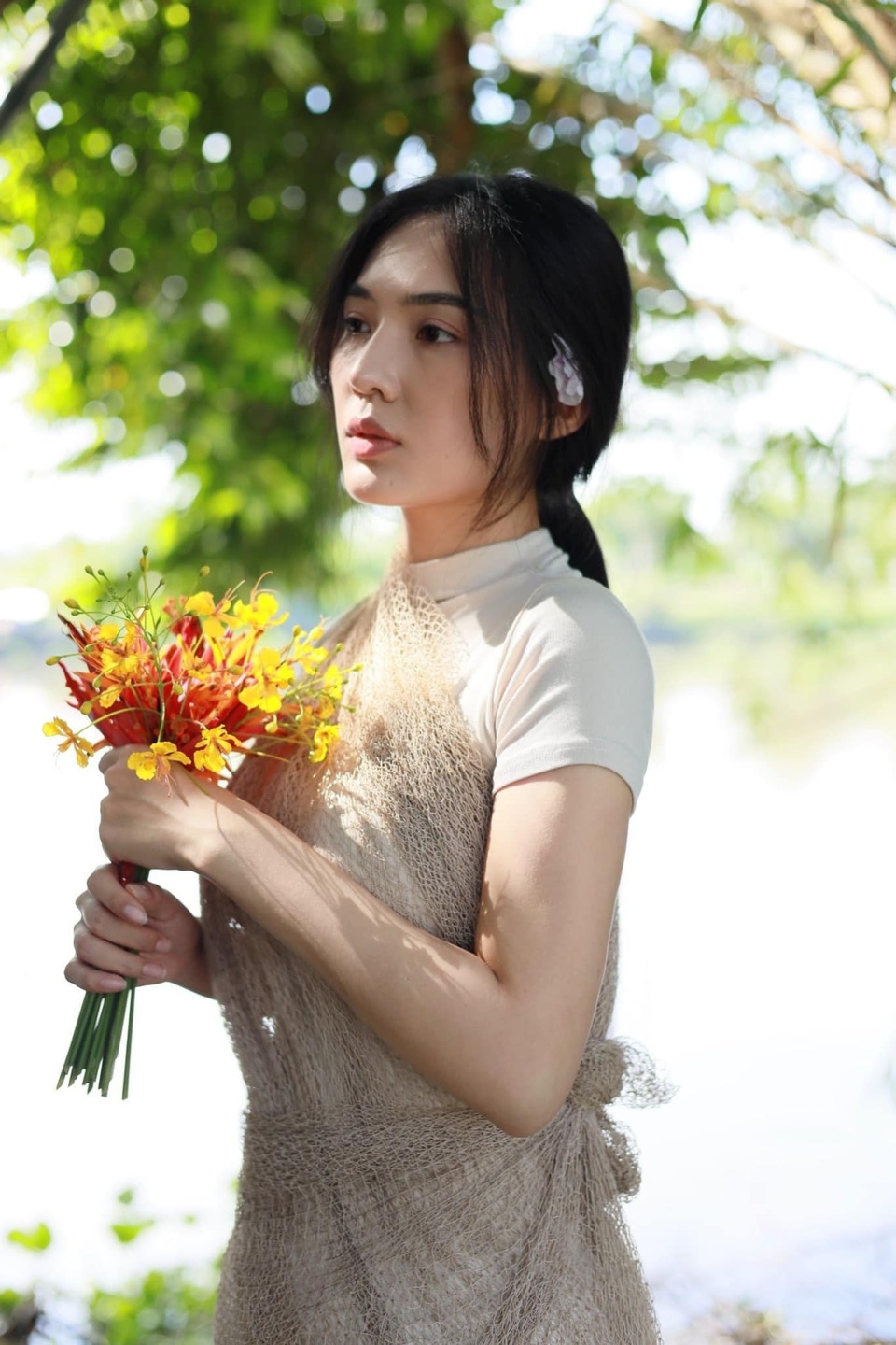 Hình ảnh