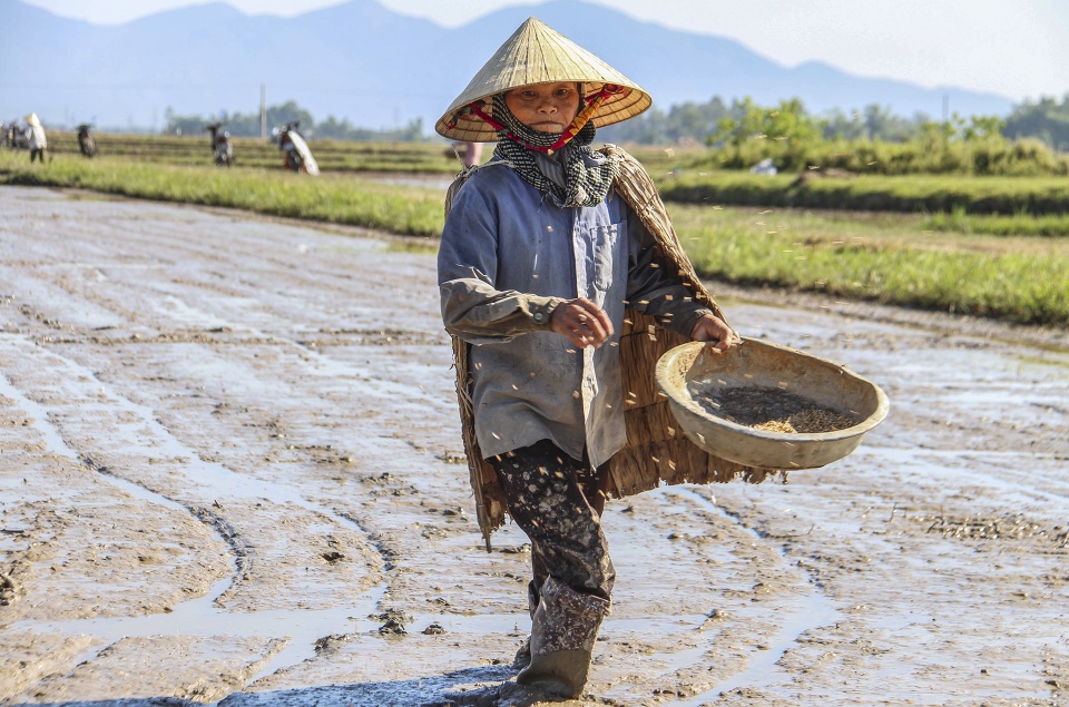 nang nong o mien Trung anh 3
