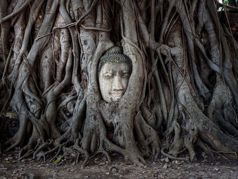 Ayutthaya anh 5