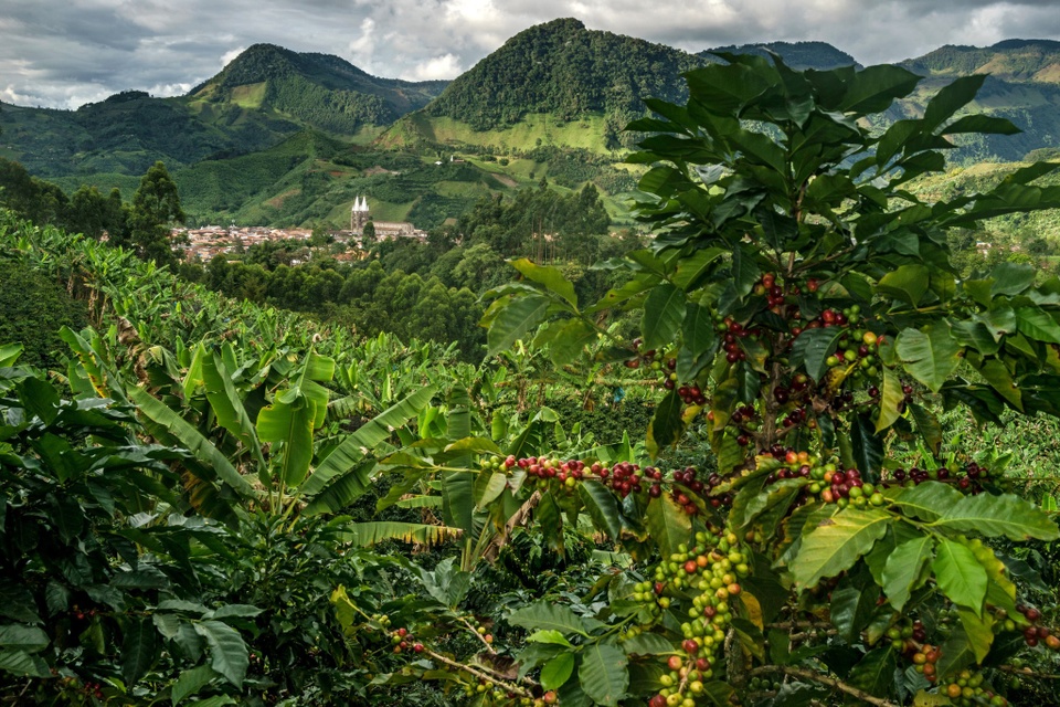 Trai nghiem Colombia anh 5