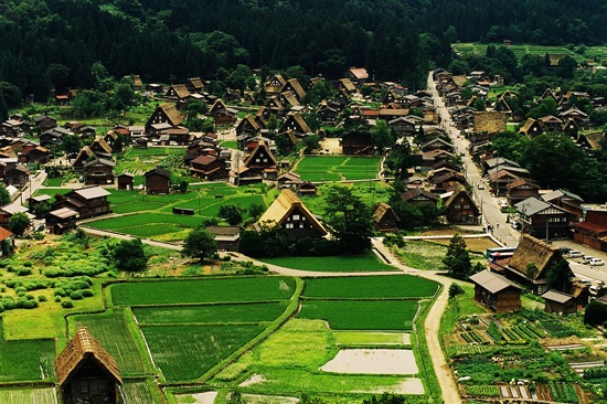 Shirakawa-go được xem là viên ngọc quý của làng quê Nhật Bản với những ngôi nhà được làm bằng gỗ, mái lá hình chóp nằm rải rác cạnh bìa rừng. Mùa đông đổ tuyết trắng xóa lên những nóc nhà, những ngọn cây khiến ngôi làng bé nhỏ này hiện lên thật mờ ảo như mơ. Những ngôi nhà bằng gỗ phủ đầy tuyết trắng nổi bật bên cạnh rừng cây vẫn xanh ngát giữa mùa đông lạnh giá. Mùa xuân, ngôi làng Nhật Bản như bừng sáng giữa mùa hoa nở. Năm 1995, làng được liệt kê vào danh sách di sản thế giới.