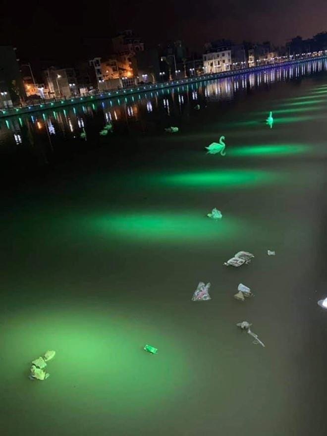 thien nga hai phong anh 2
