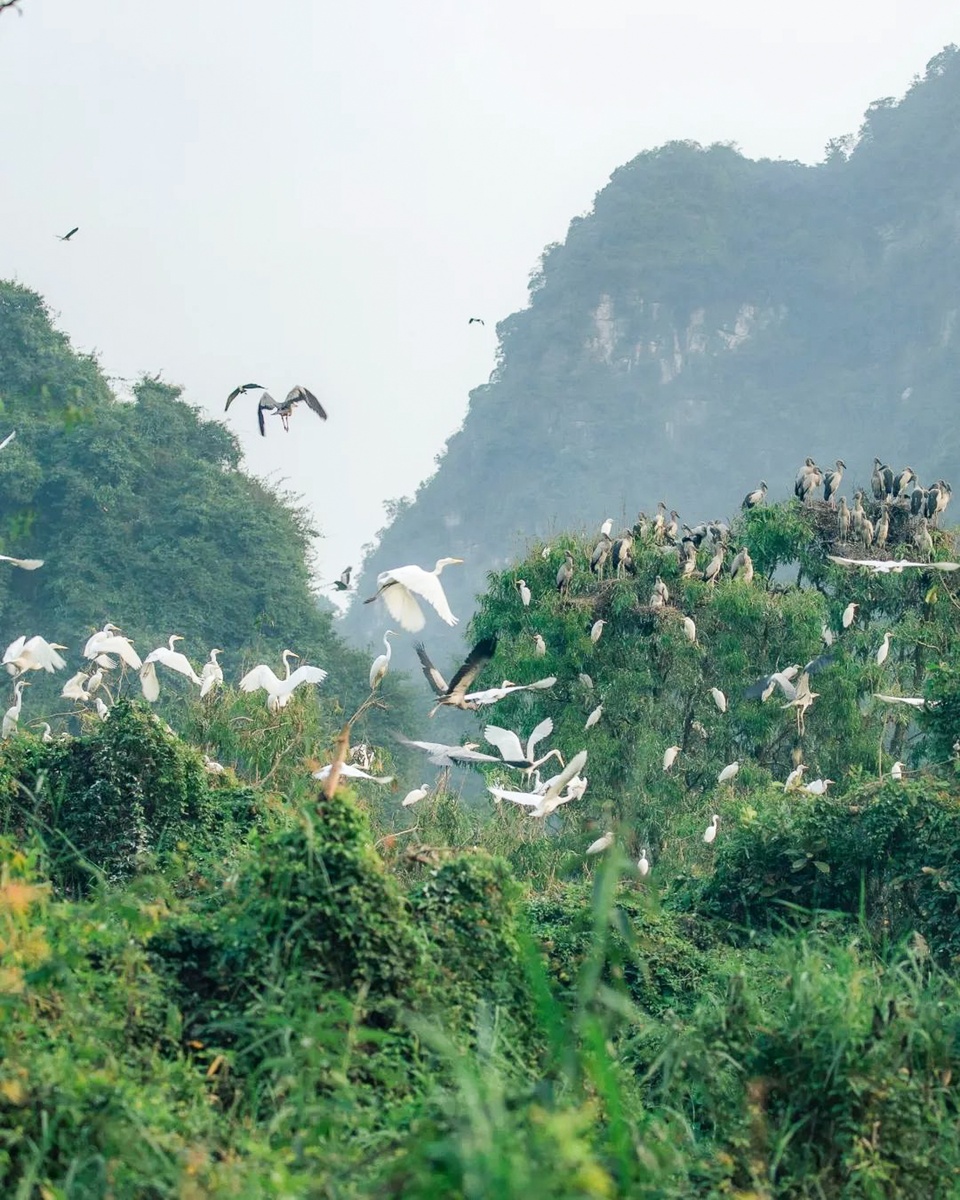 du lich Ninh Binh anh 10