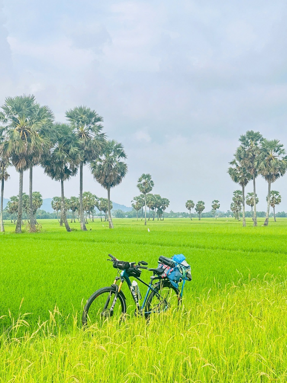 Dap xe xuyen Viet anh 15