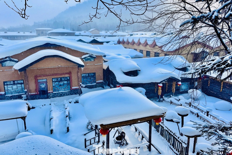 Lang Tuyet Huong anh 4