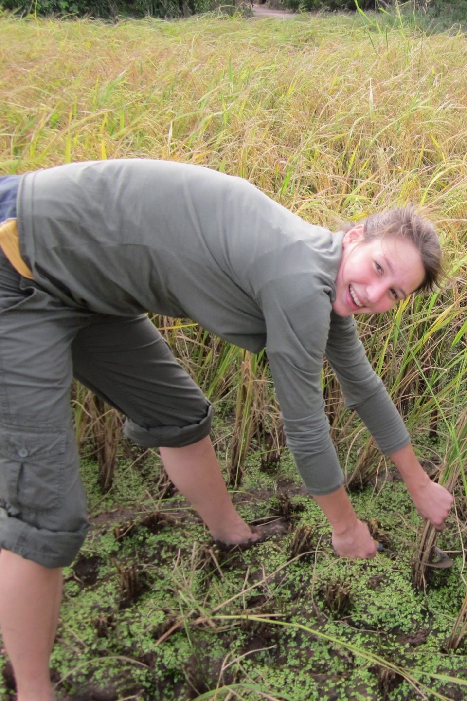 cong vien di san anh 9